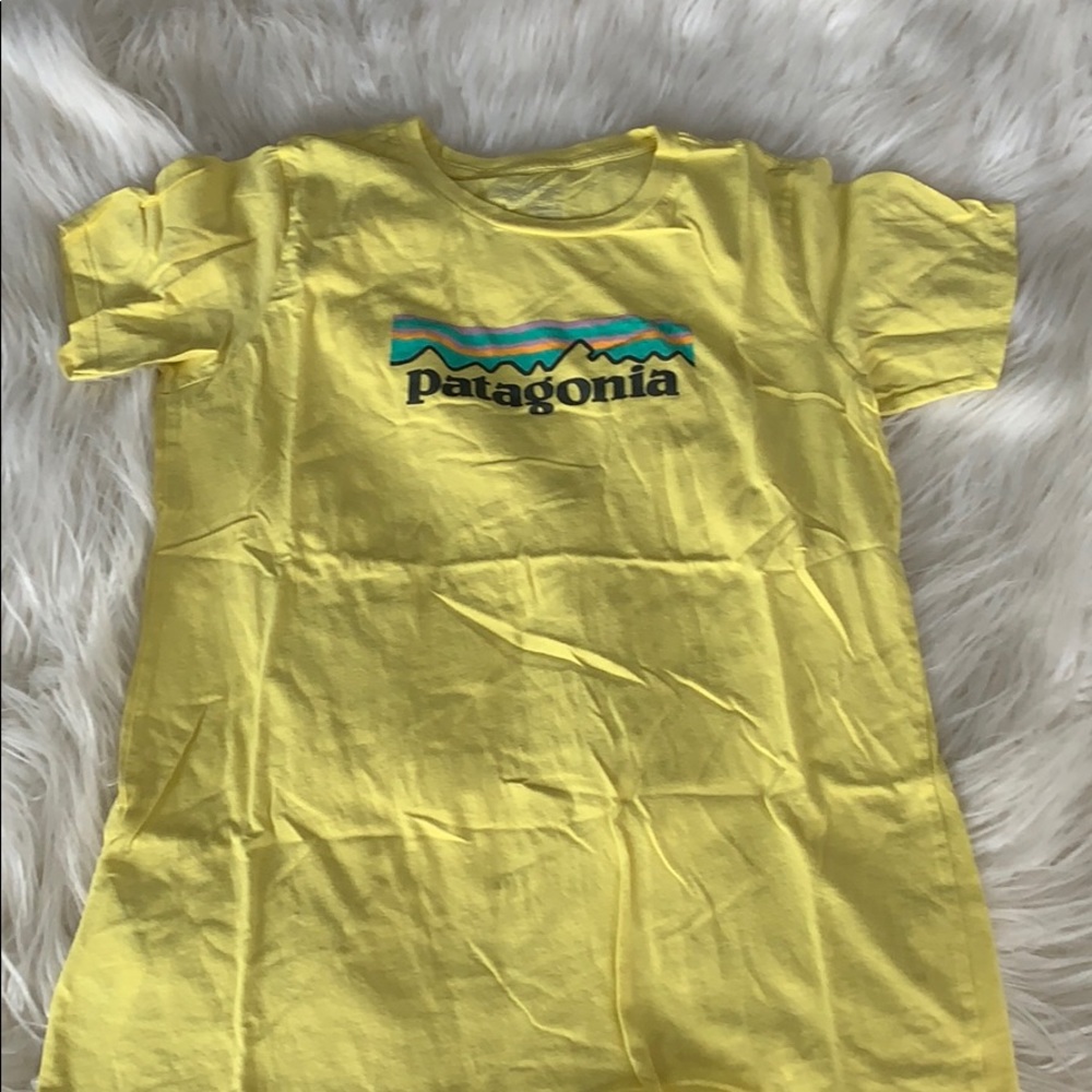 Patagonia T-shirt